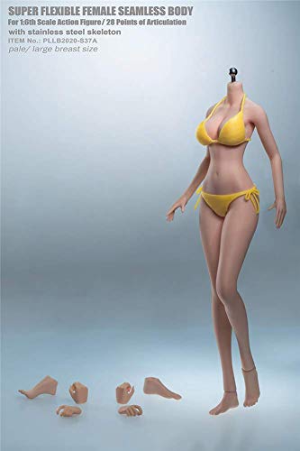 ZSMD 1/6 Super Flexible Seamless Steel Girl Headless